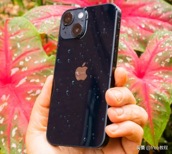 苹果各种型号手机图片(2021年8款在售iphone手机) - 赤虎壹号