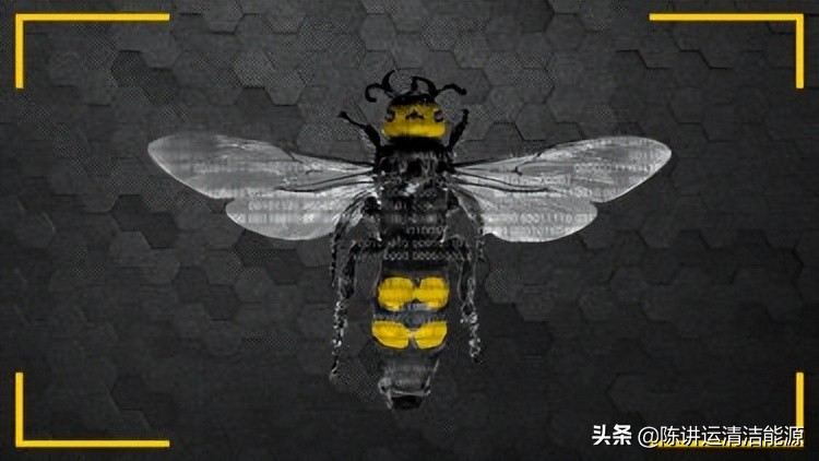 蜜蜂正在帮助设计下一代自主技术