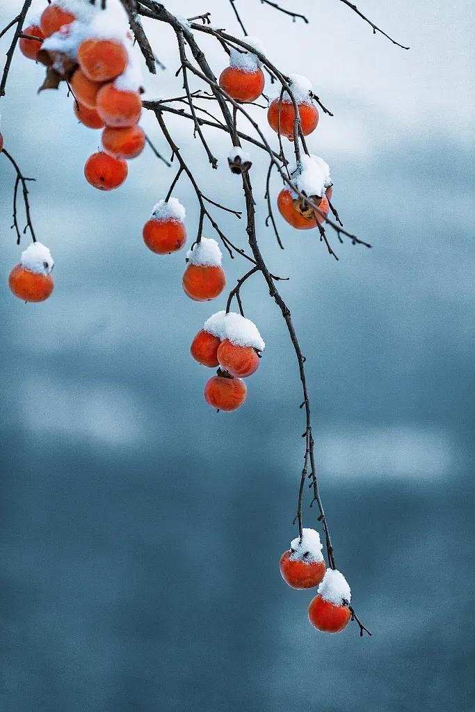 雪中情，相思情，思乡情