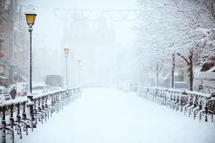 20张冬日摄影佳作，漫天的雪花落下来，浪漫得不像话