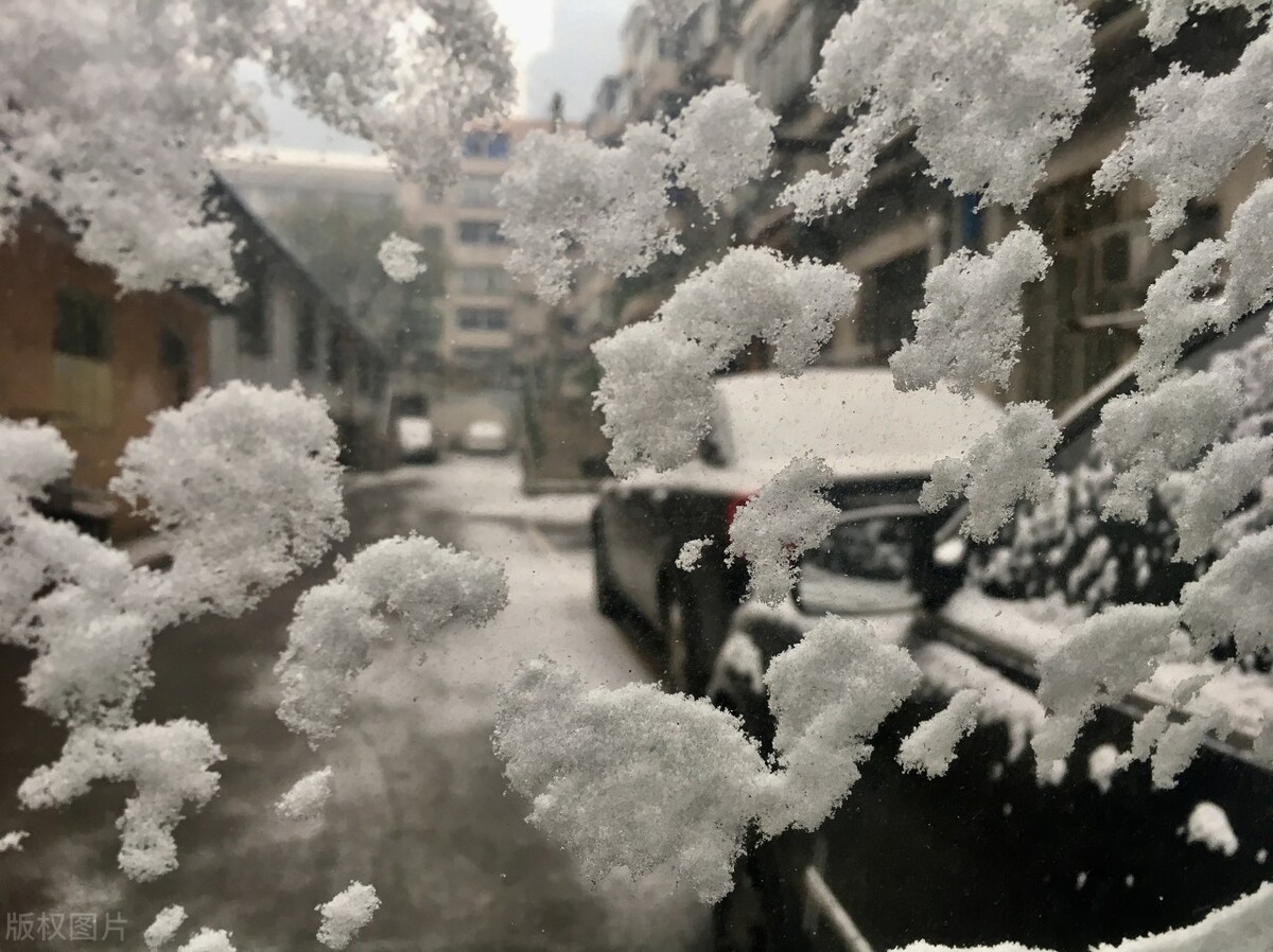 冬天下雨兆丰年，农村俗语：冬雨贵如油，来年粮满仓。