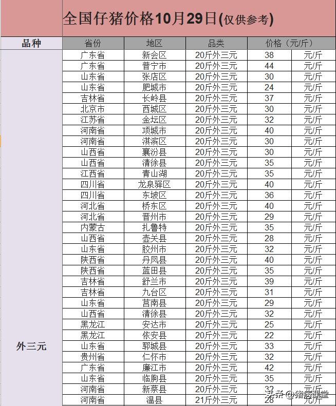 今日全国仔猪最新价格「今日仔猪最新价格」