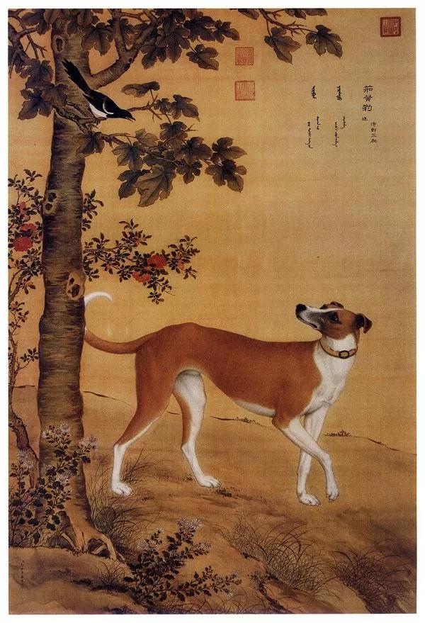 清代宫廷画家郎世宁的（清代宫廷画家郎世宁的什么图描绘了姿态各异之骏马白皮）-第28张图片-悠嘻资讯网