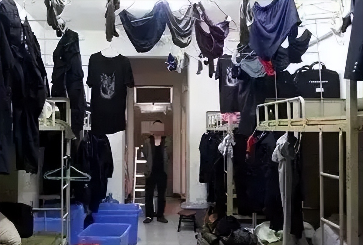 当北方学生去南方读大学，是什么样的体验？就像来到另外一个世界