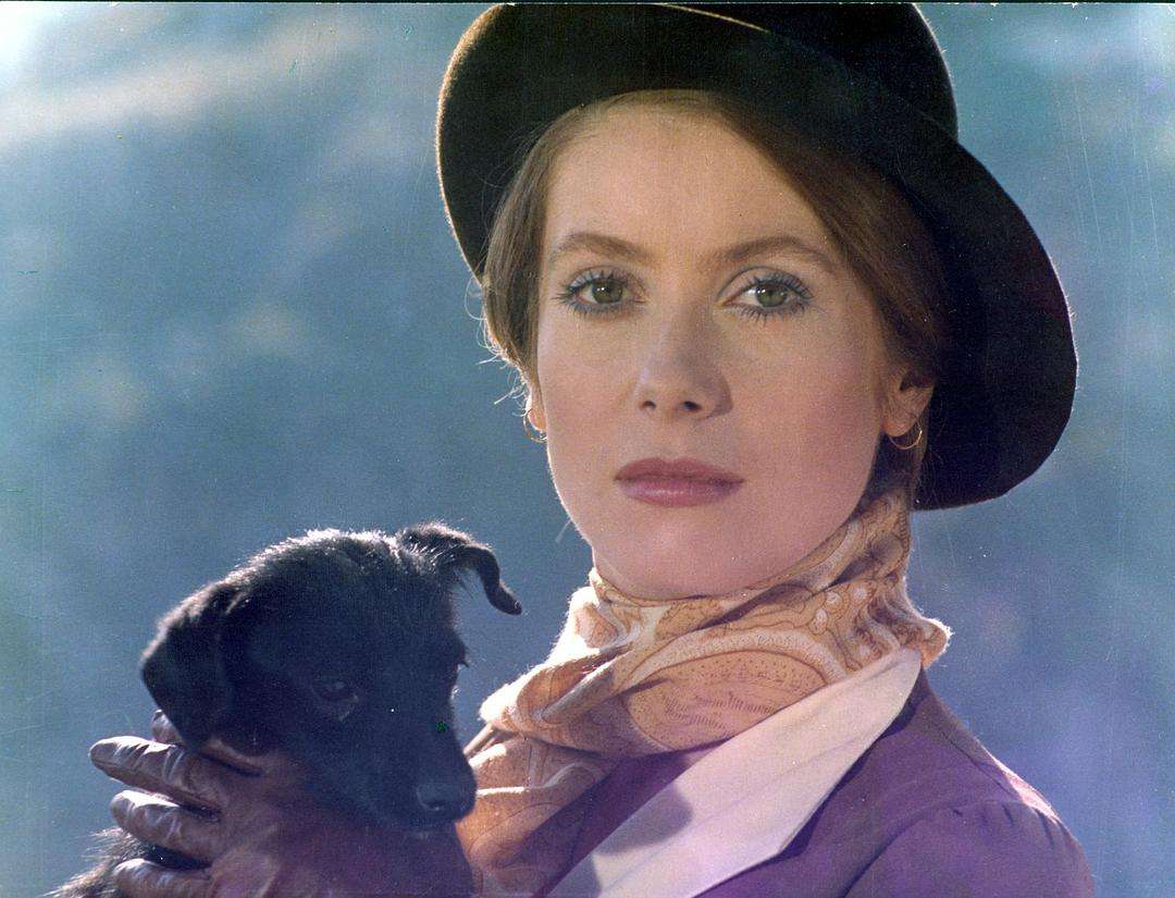 原罪电影剧情「详细介绍」 _晶羽科技