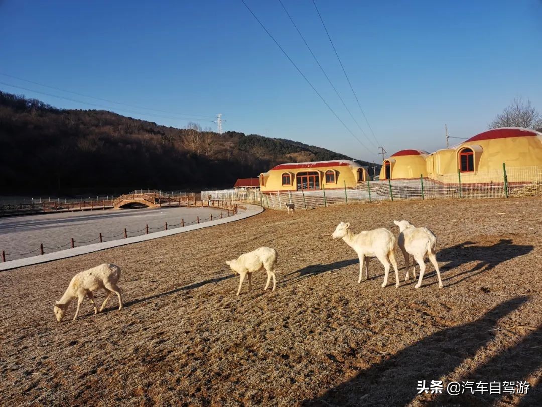 大唐鹿野苑，来自冬日里的一份思念（附自驾游行车线路图）