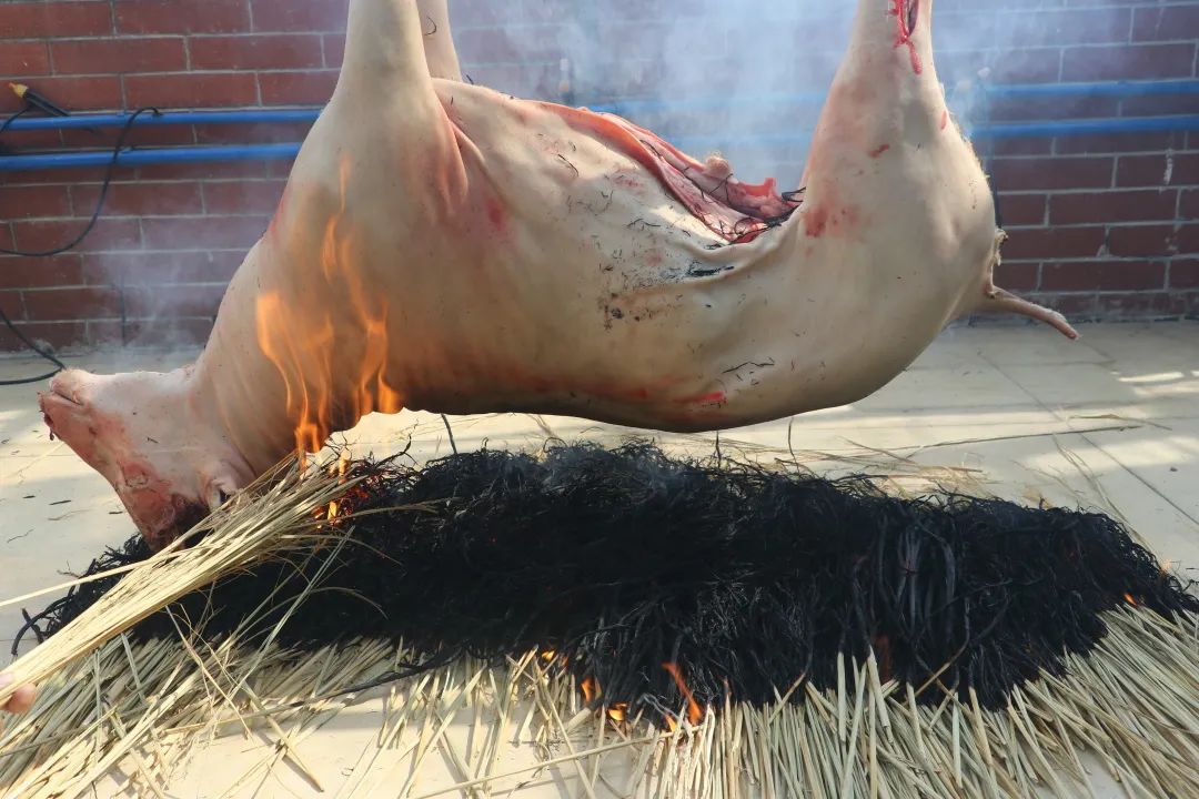 野生山羊肉做法大全(禾秆“啖”羊肉 这煲红焖羊吃过返寻味)
