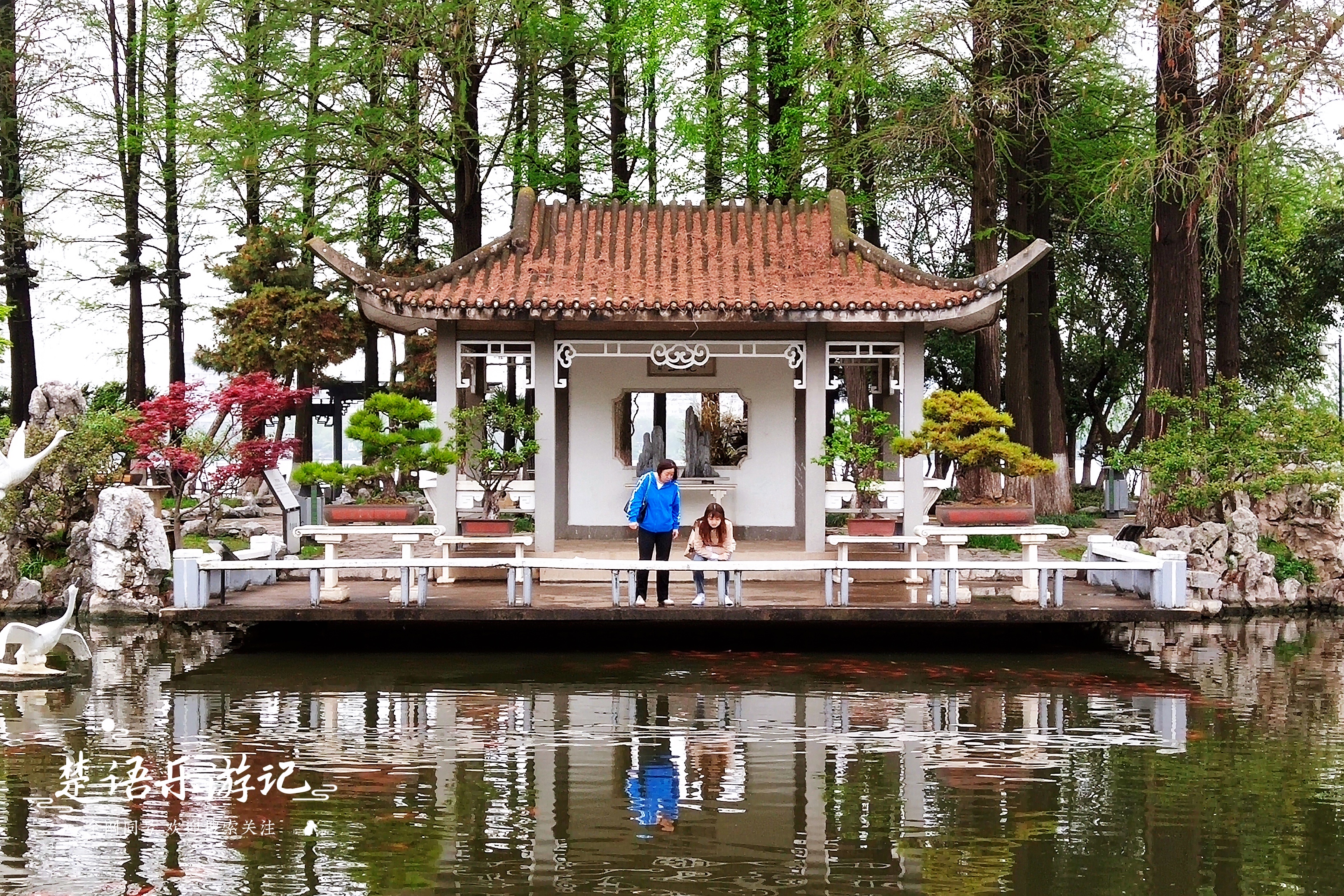 风景可比杭州西湖，一年四季花海不断，原来是南京的网红打卡胜地