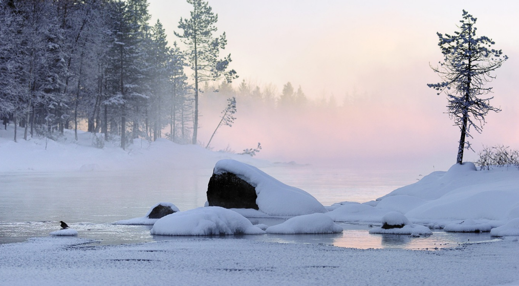 一场大雪美如画，十二首雪景的诗词，欣赏诗人笔下的绝美雪景