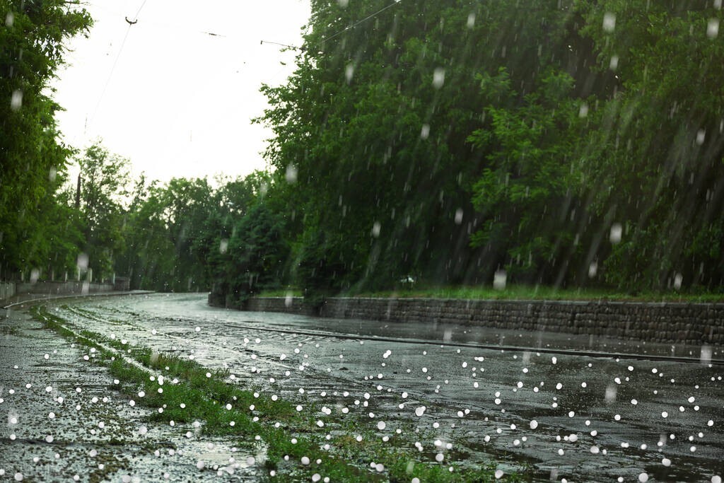 雨的图片唯美雨景图片