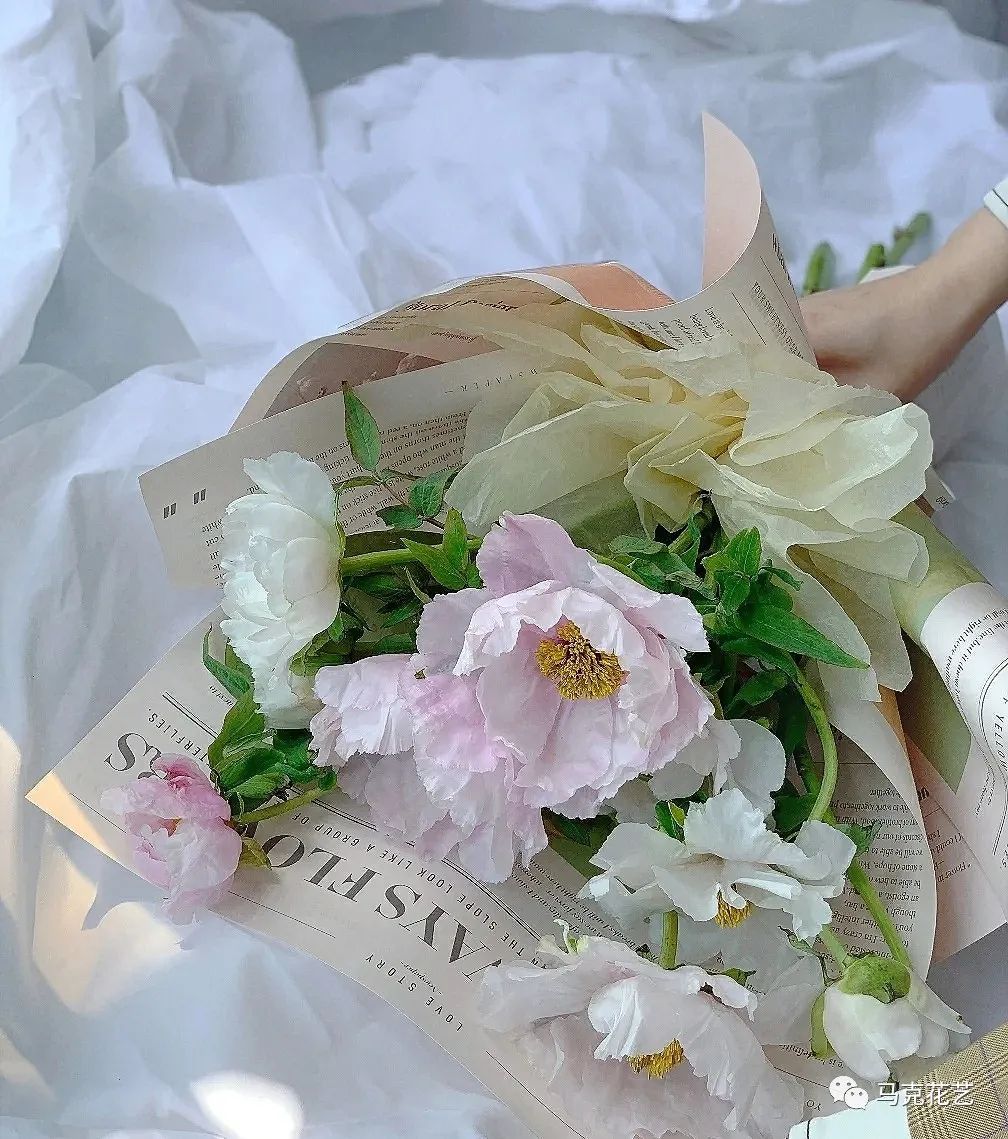 结婚纪念日送什么花？可选择百合花、并蒂莲和红掌-第49张图片