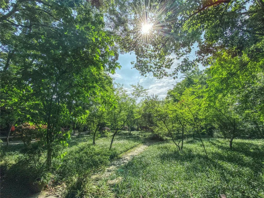 晴空万里 沐光而行