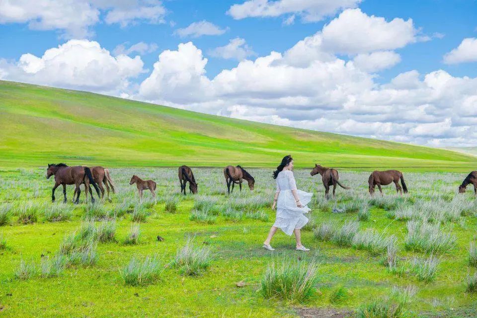 五一不知道去哪里旅行，这8个中国最美的地方，也许可以给你答案