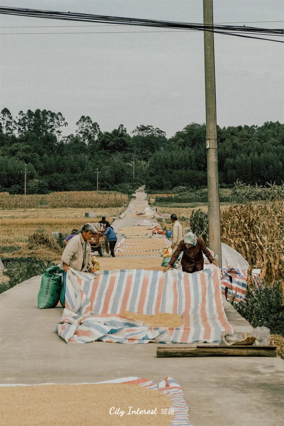 散步指南 | 想在新竹路待上一整天