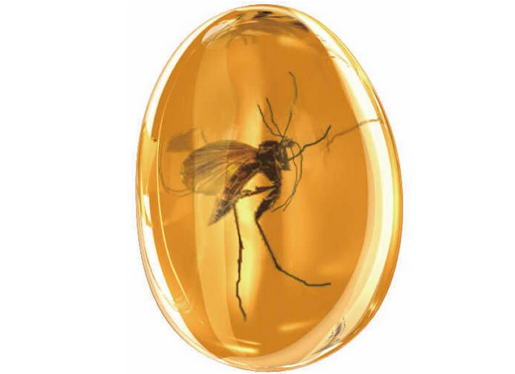 琥珀里的昆虫千万年不腐，古代皇帝死后，为什么不用琥珀防腐？