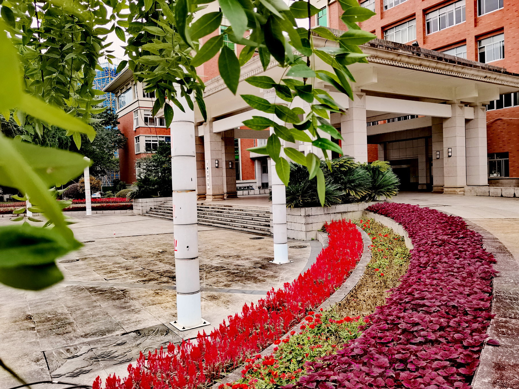 ɵ(de)ҪＰԸص㣨(cheng)ҪＰ(xing)ص¼-14ͼƬ(pian)-Ʒ