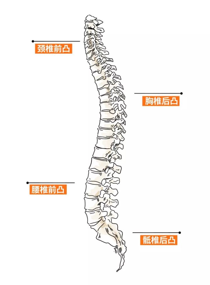 儿童适合什么材质的床垫(2022最新儿童床垫测评，学生床垫横向对比)