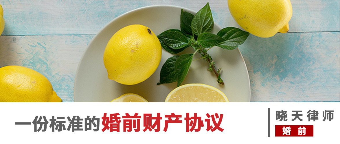 标准婚前财产协议范本（明确双方财产权属与分割规则）