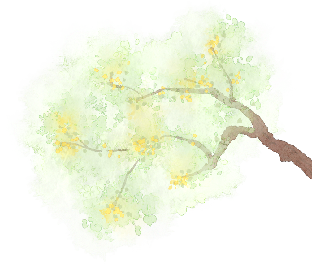 世界杯壁纸全屏高级（图说世界杯！范扬的画中世界）