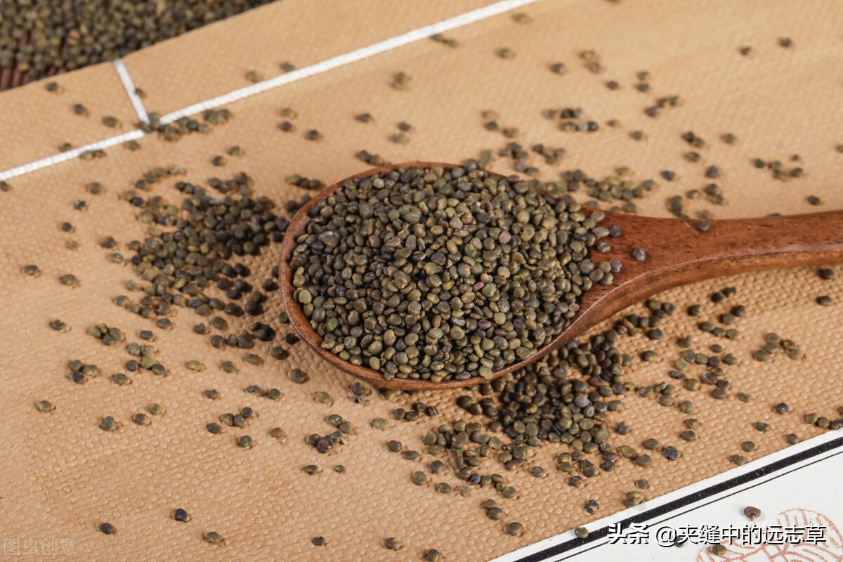 杞菊地黄丸多少钱一盒讲一味枸杞子