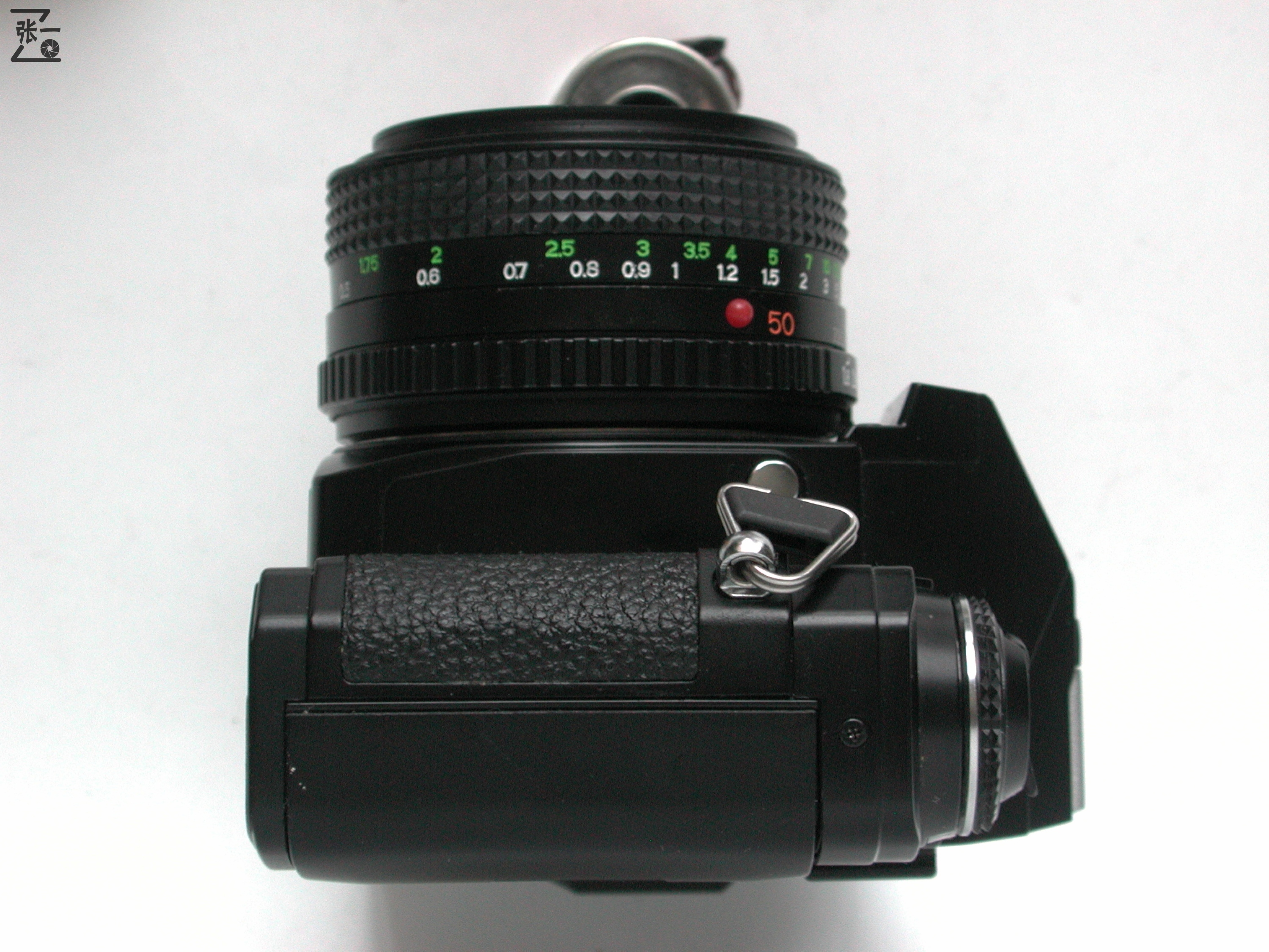 海鸥df2评测(海鸥df2什么卡口)_友友