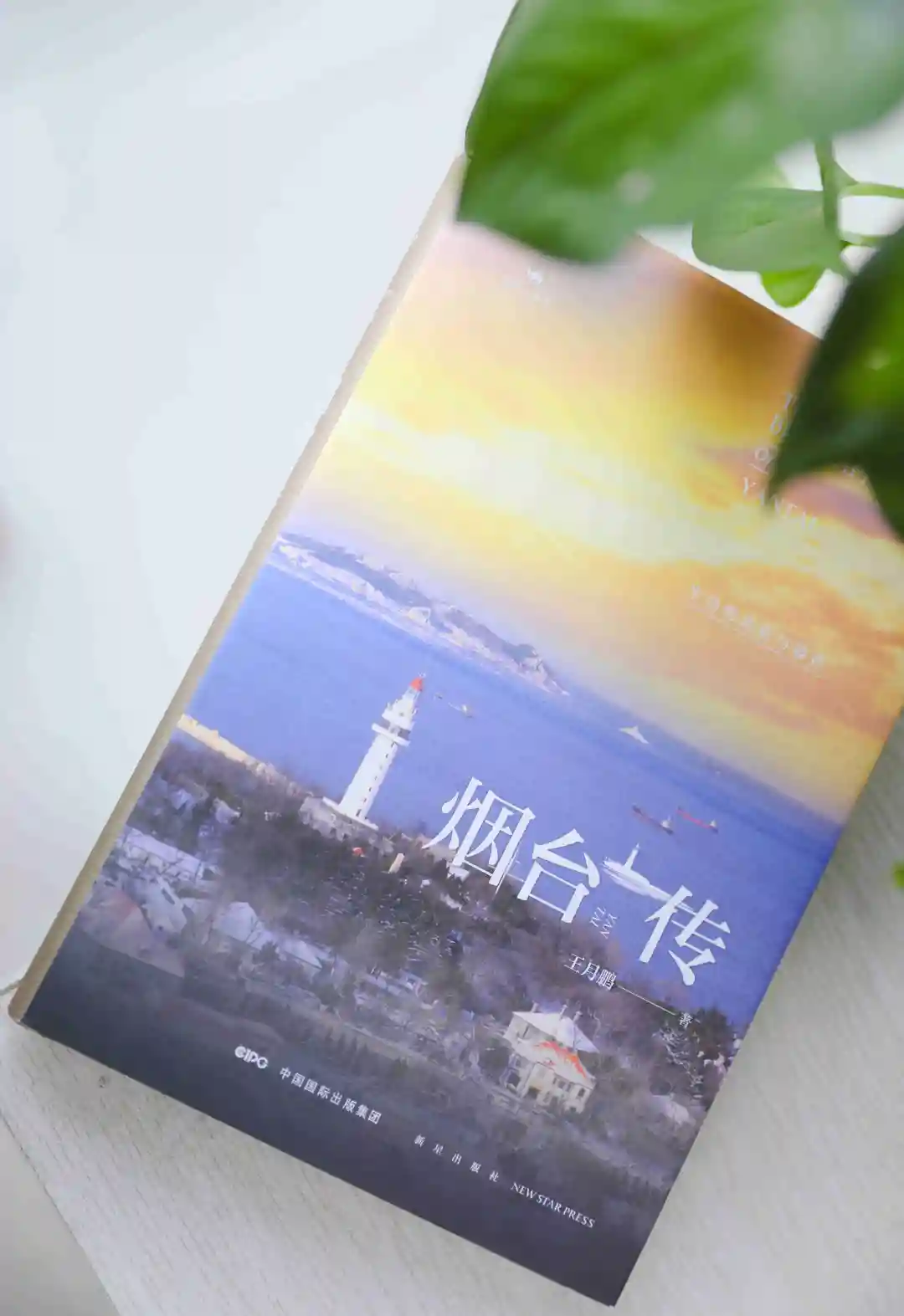 《海上书》讲述了黄渤海的故事--烟台开发区著名作家王月鹏创作了《海洋三部曲》。
