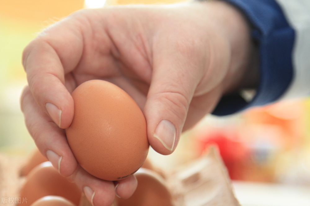 今日全国鲜鸡蛋价「今日鲜鸡蛋价格是多少」