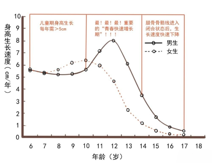 第一个是出生至1岁时,第二个则是青春期时期