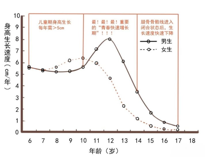 中国女性平均身高图片