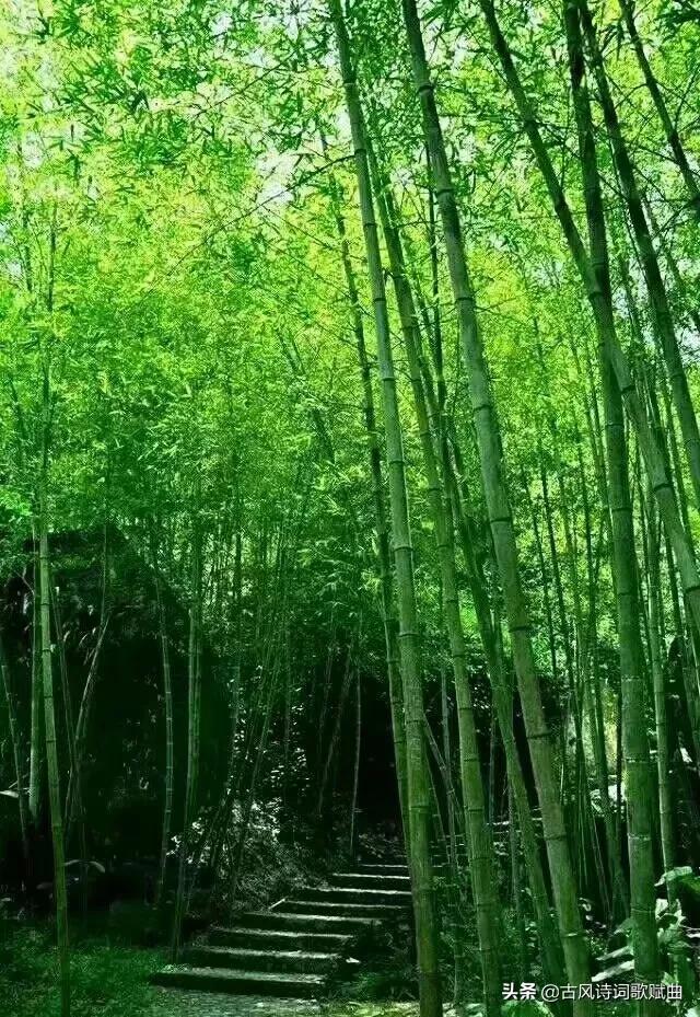 100句唯美而又温暖人心的句子，简短文艺，直抵心灵