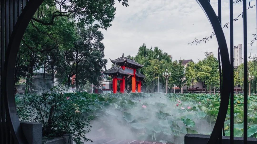 刚刚，2022四川省高考分数线公布！四川大学“全部”招生专业曝光！