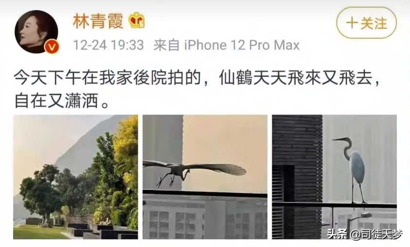 被盗失火，港星的豪宅比他们的花边还好看