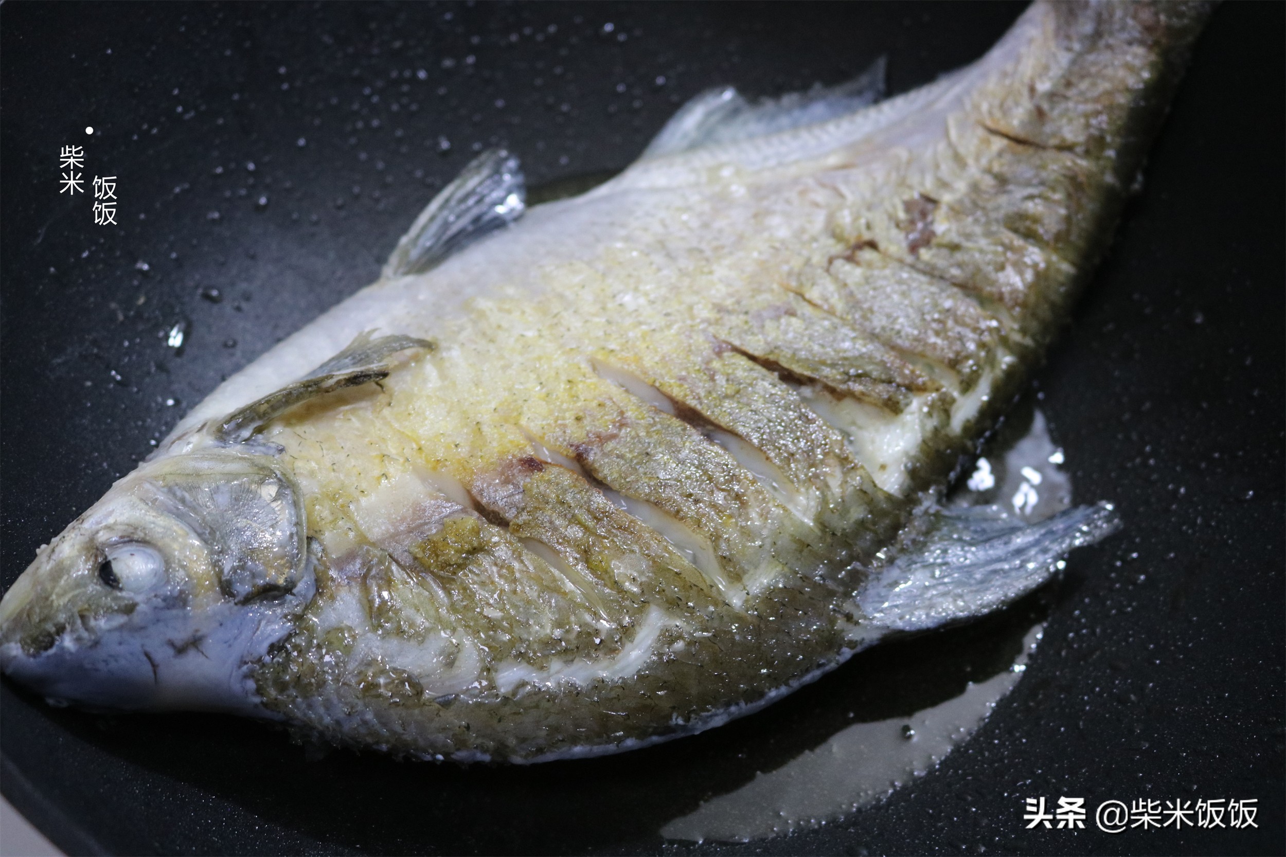 紅燒魚塊的家常做法,紅燒魚塊的家常做法簡單步驟