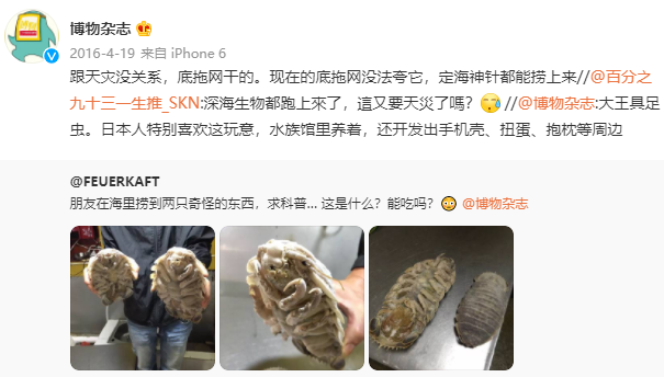豆瓣9.6分算啥，他能红我是真佩服