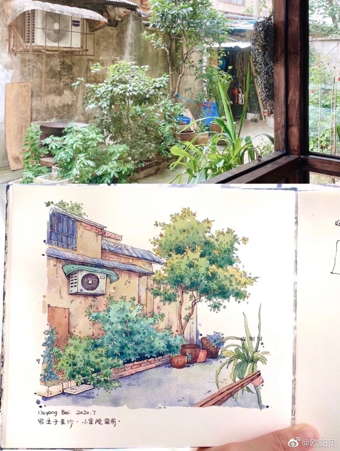 95后美女教你画钢笔淡彩，张张都是精品，构图和配色超棒