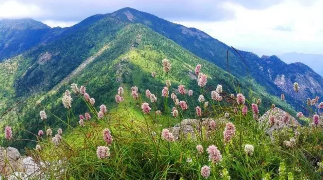 西安周边游｜春季必爬的10座山，1小时就能直达，你爬过几座？