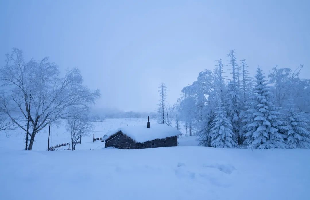 冬天到了,下雪了.