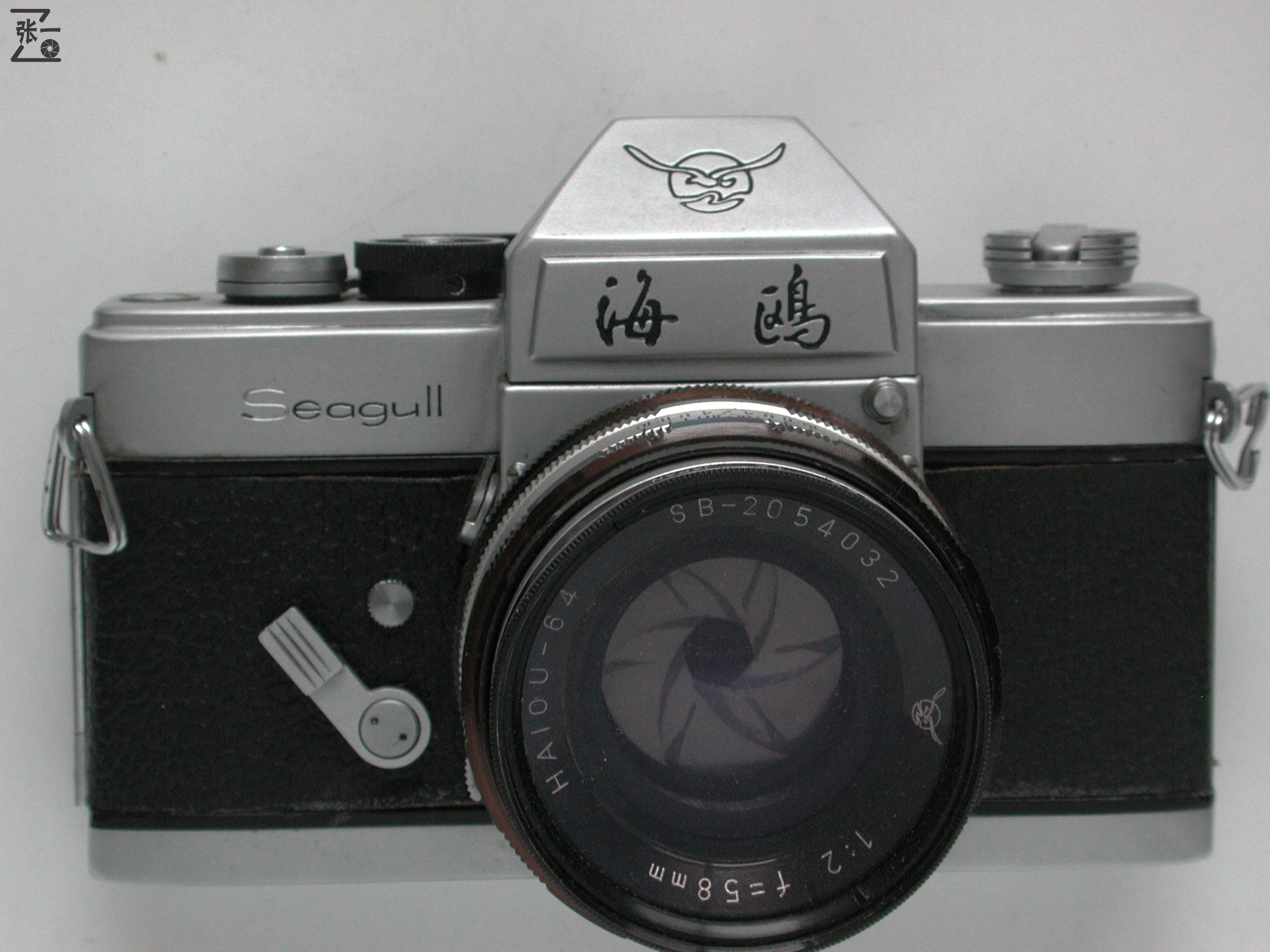 海鸥df2评测(海鸥df2什么卡口)_友友