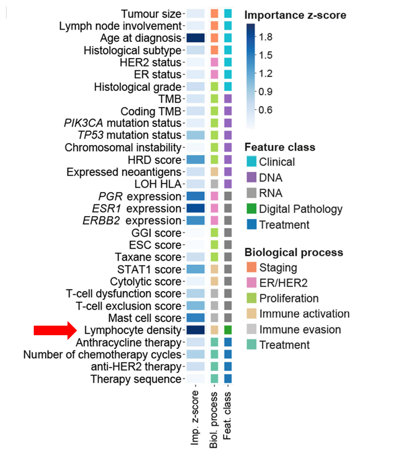 Nature | 机器学习整合多组学多类型数据高效预测肿瘤病人药物反应