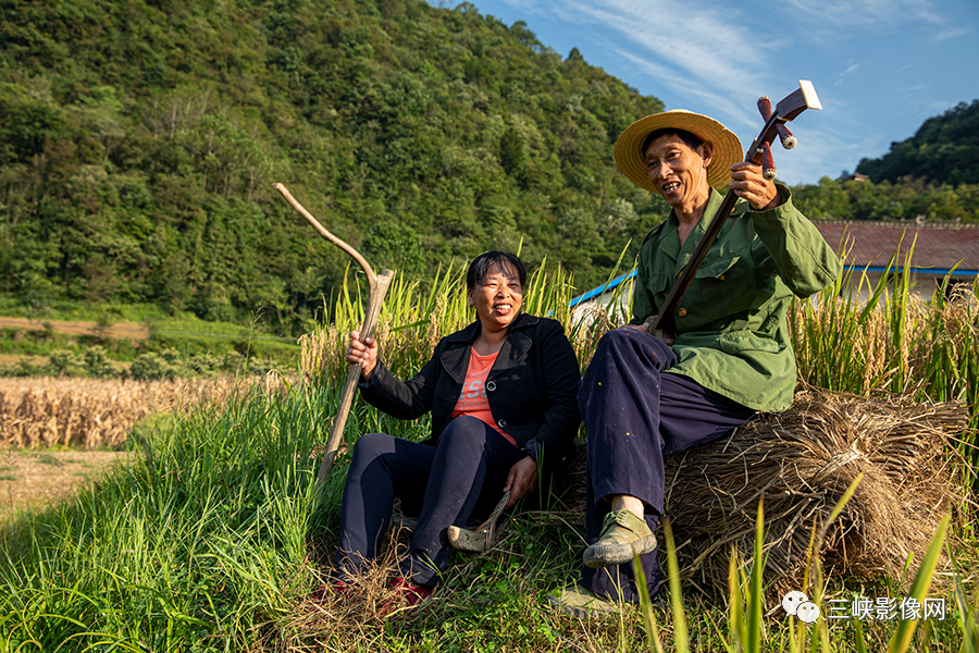 快乐不打烊！宜昌这些地方景美人少还免费！