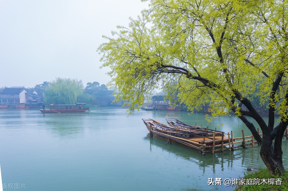 江南煙雨的唯美詩詞(煙雨江南的文藝句子) _飛翔號