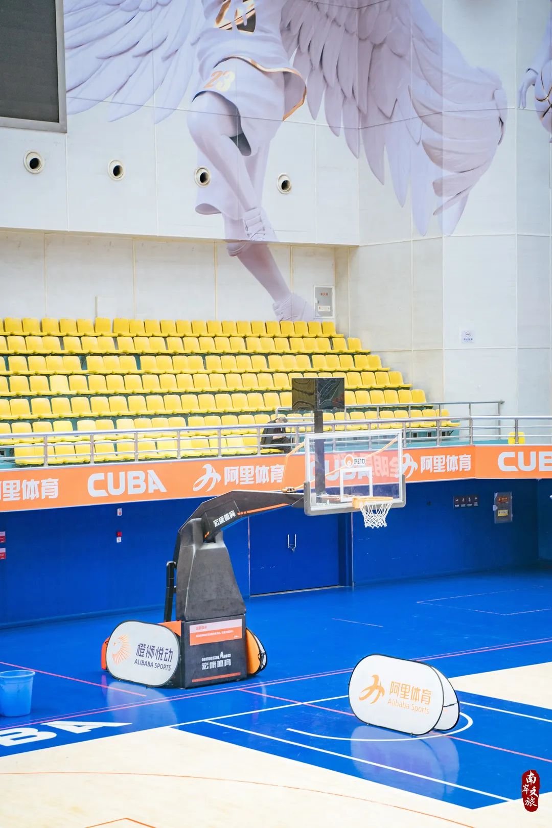 重庆暑假有什么篮球训练班(南岸“暑”里好玩 | 好耍又凉快，纳凉运动两不误)