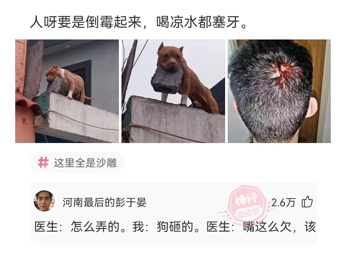 朋友拍了拍我的de(朋友拍了拍我的后hou面写什么恶搞)-娱乐资讯网 朋友拍了拍我wo的(朋友拍了拍我的后面写什么恶搞gao)-娱乐资讯网