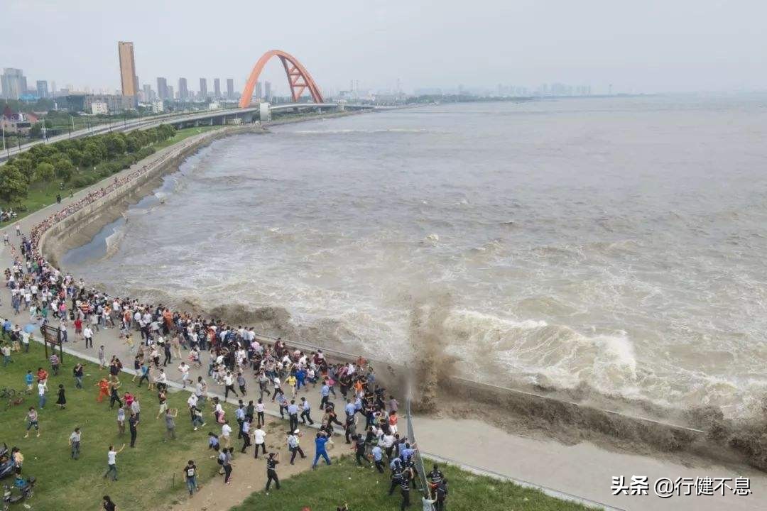 荷花十里桂三秋：十二首著名诗词，领略杭州的诗意之美
