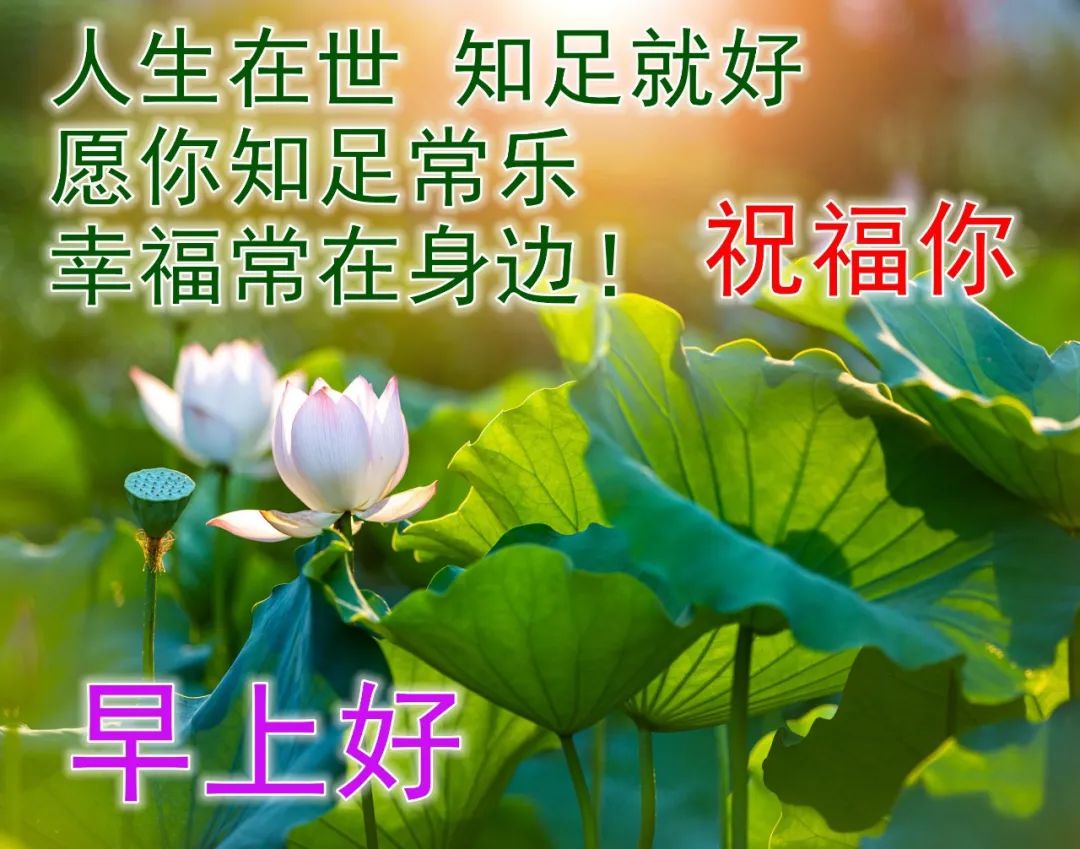 早安圖片早上好祝福唯美圖片