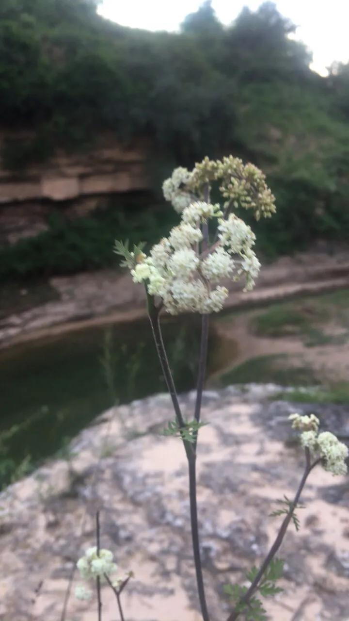 问青山碧水，观人间美景