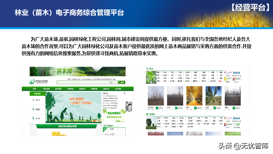 65页PPT智慧数字乡村农业大数据解决方案（附PPT全文下载）