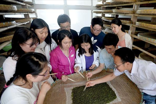 职业教育迎来改革，跟普通本科享受同等权利，或被称之为四本院校