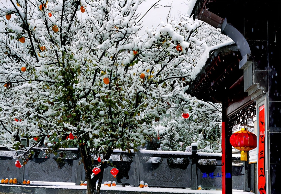 感恩大自然的馈赠“花果揪雪韵”