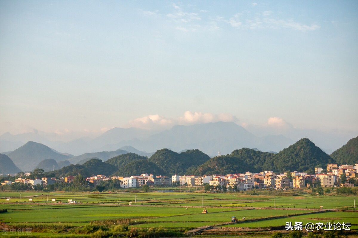 永州市零陵區(qū)2022年種植糧食有哪些補貼？補貼標準是多少？